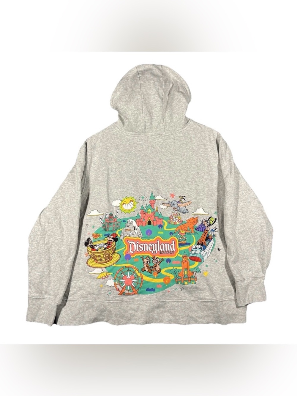 Disneyland Resort Play In The Park Embroidered Hoodie